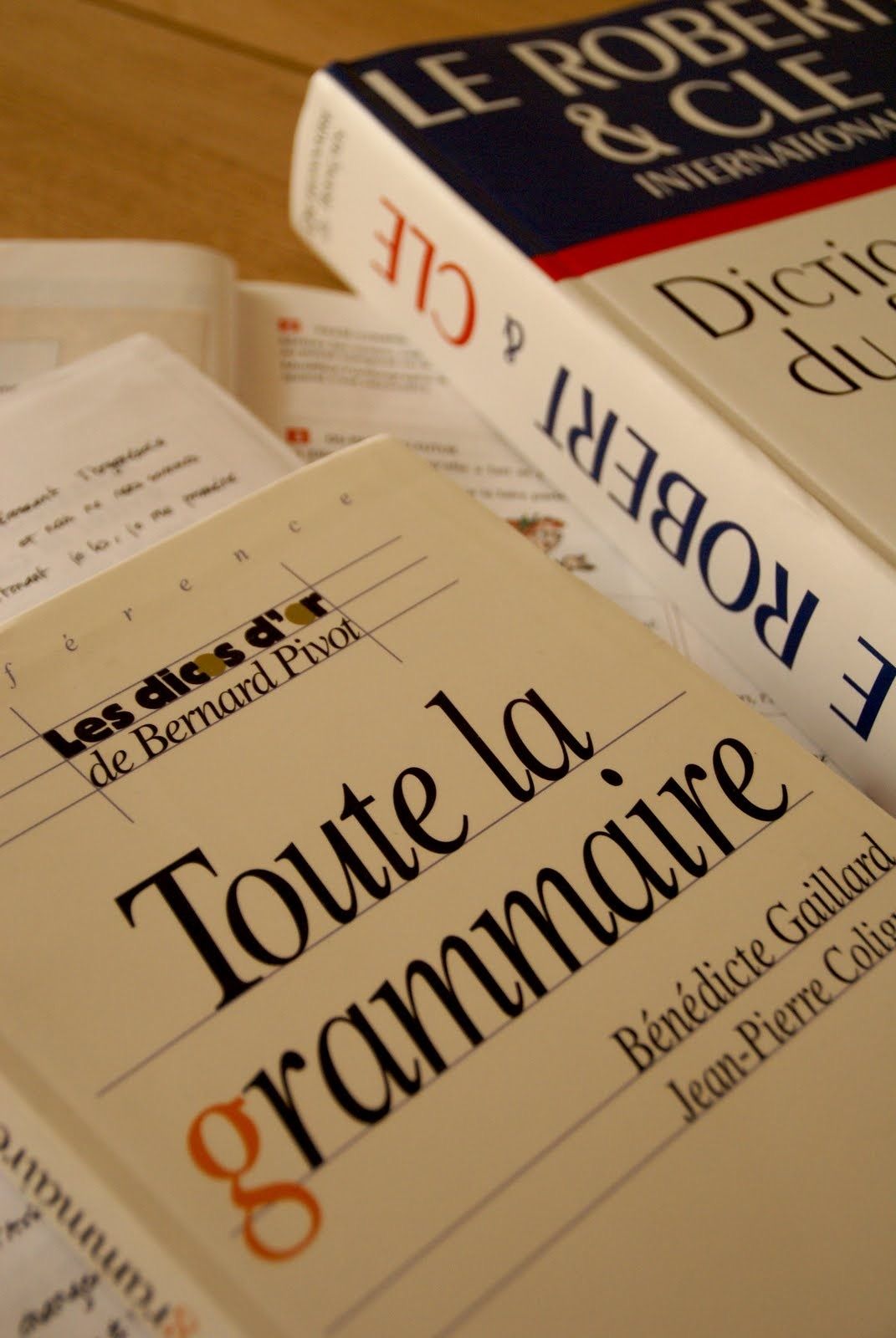 English Language Program